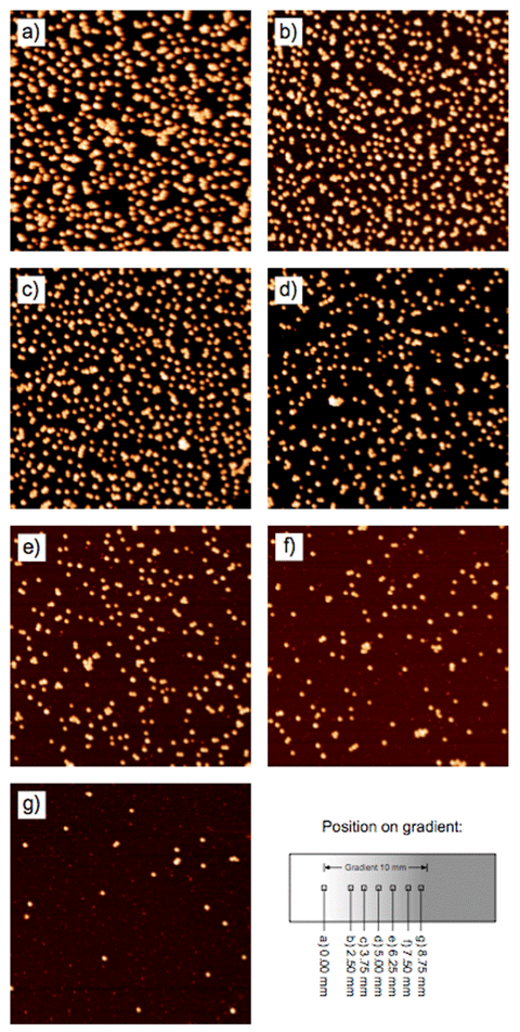 Fig. 1: AFM tapping mode images of different positions on particle-density gradient over 10mm. The different positions on the gradient are indicated in the sketch in the lower right corner of the ﬁgure. AFM images are 5 x 5 µm2 in size.