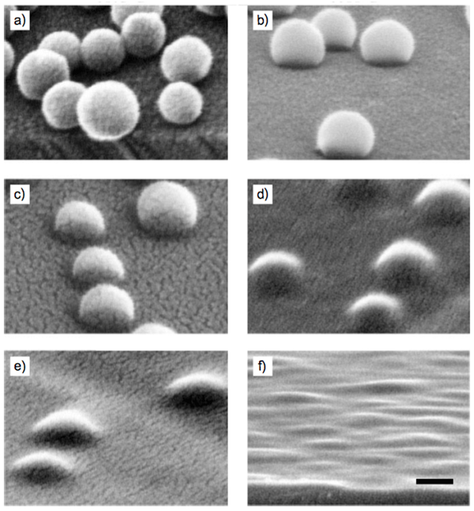 Enlarged view: Fig. 2: SEM images of heat-treated silica particles (73 nm diameter) on a silicon wafer surface. Particles were heat treated at 1075°C (a), 1100°C (b), 1125°C (c), 1150°C (d), 1175°C (e) and 1200°C (f) for 2 hours. With increasing heat treatment temperature the particles start to form a neck where the particle is in contact with the surface. The scale bar is 50 nm.