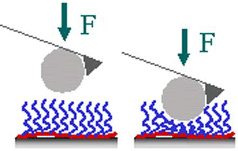 Poly L Lysine G Poly Ethylene Glycol Surface Science And Technology Eth Zurich