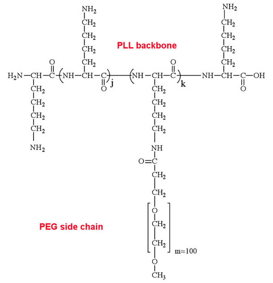 Aqueous Lubrication With Polymer Brushes Surface Science And Technology Eth Zurich