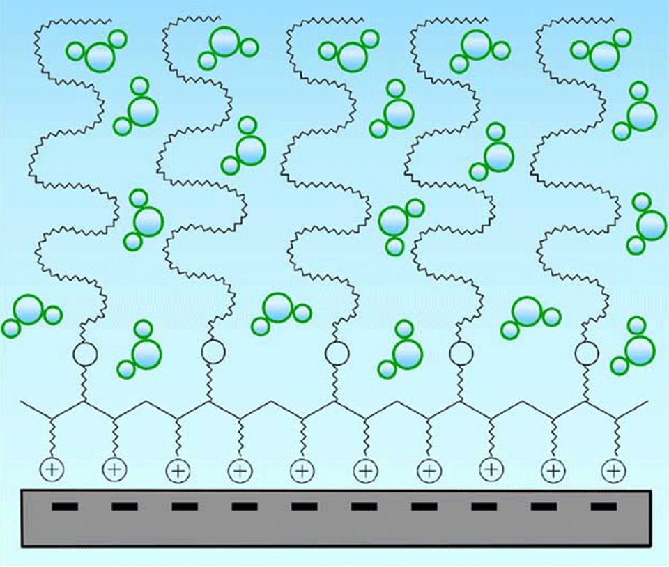 Aqueous Lubrication With Polymer Brushes Surface Science And Technology Eth Zurich